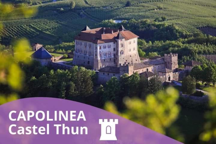 Casa Da Carmen Boutique & Private Spa Mezzolombardo Kültér fotó